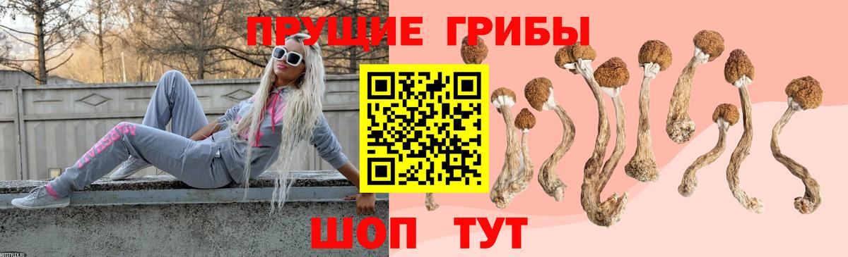 Лесной  Галлюциногенные грибы мицелий  Вход с VPN 