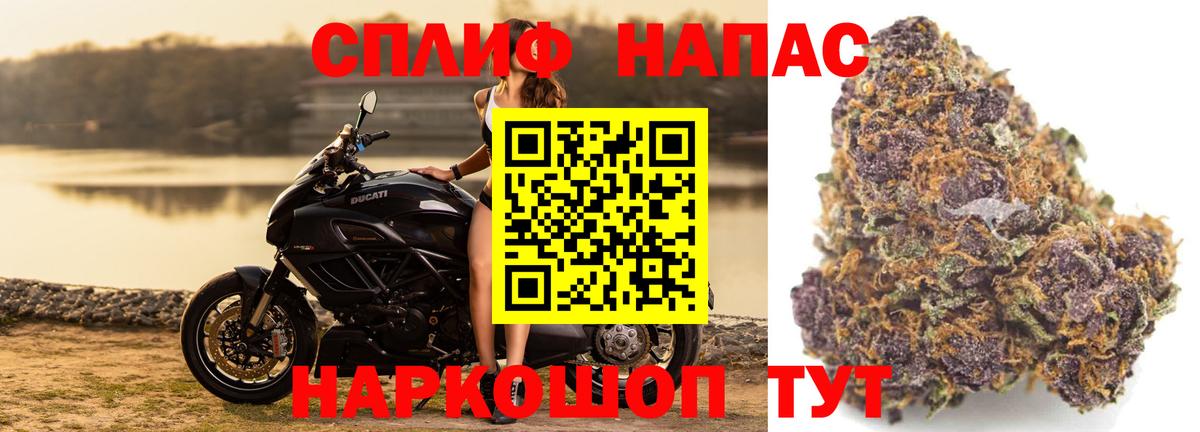 Шишки марихуана ГИДРОПОН Лесной